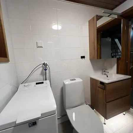 Tunnelmallinen Hirsimoekki - Levin Liitaejae Dağ evi