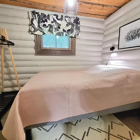 Chalet Tunnelmallinen Hirsimoekki - Levin Liitaejae